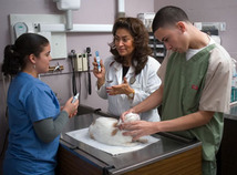 Veterinary Science